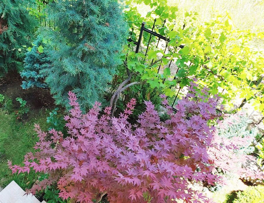 Продава се Тристаен апартамент в София, Овча купел - 75 кв.м за 2500 €/кв.м - Снимка #15