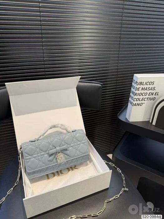 Dior Lyuks A Kopiya sumka