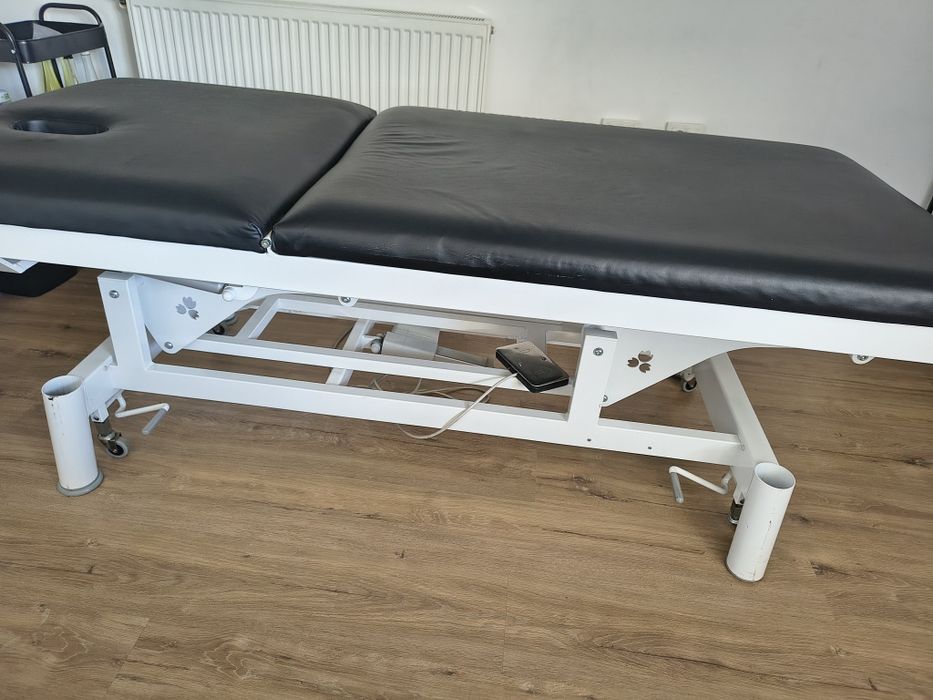 Masă electrică masaj, fizioterapie, kinetoterapie