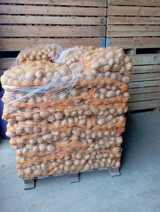 Cartofii extra ...calibru 60 plus.