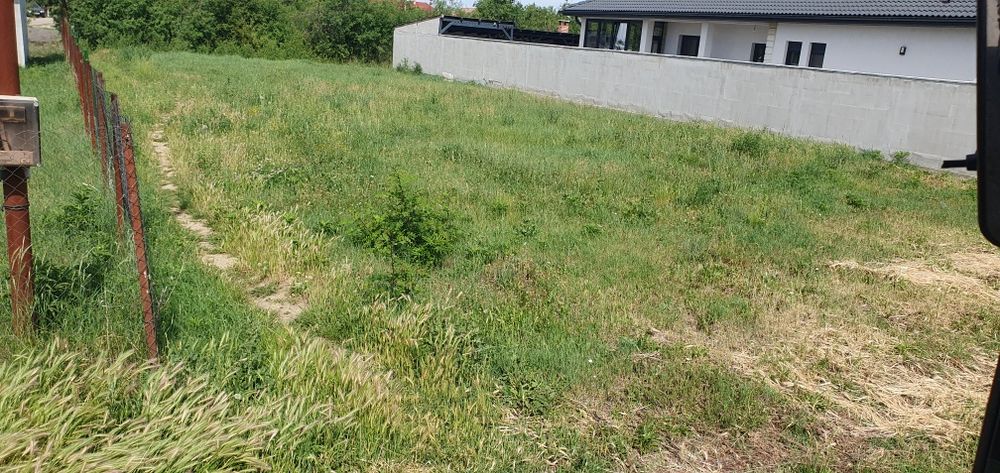 Vand teren în cicir