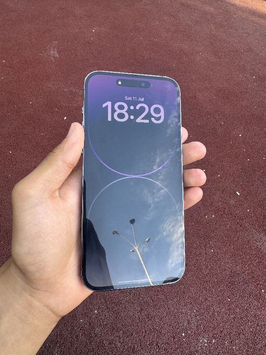 iPhone 14 Pro Max
