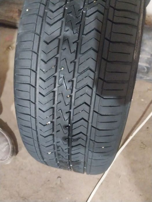 Diska Balon 16 razmer