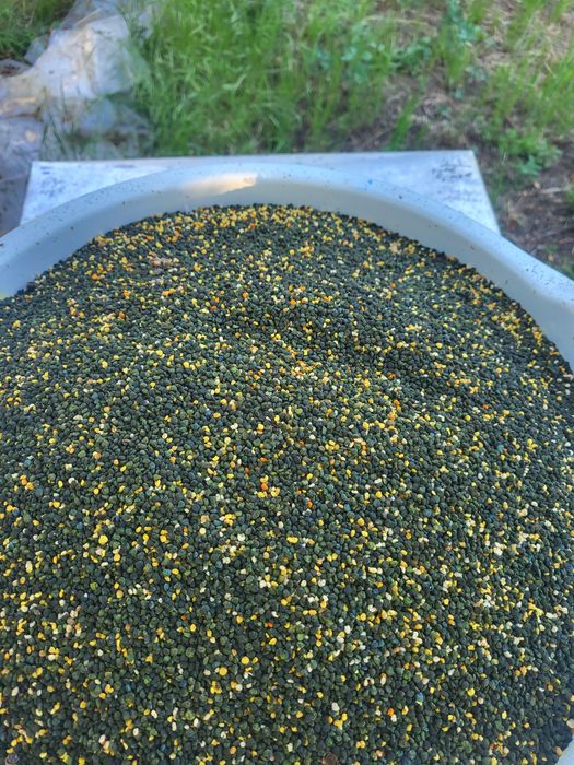 Пчелен прашец, Мед(Билков,Крем-мед,Имуно), Прополис, Тинктура, Свещи 2