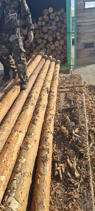 Реализуем лесоматериал Пиломатериал