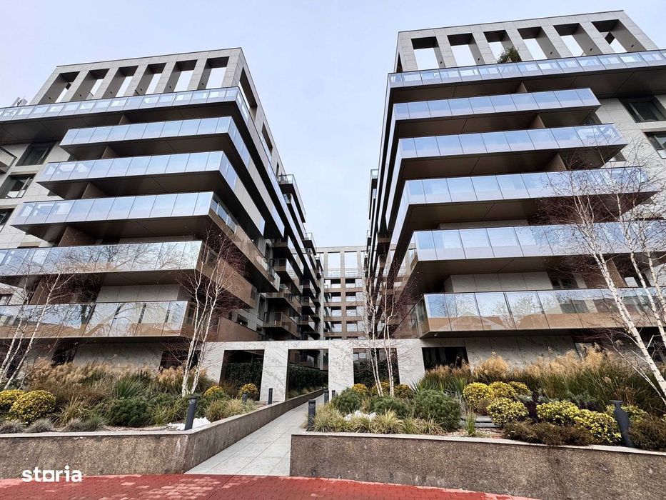 3 Camere || Cortina 126 || Erouiancu Nicolae