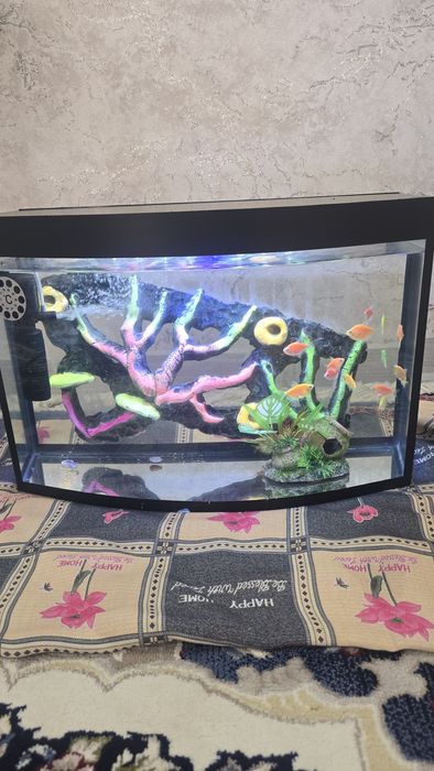 Аквариум 15 та баликлари билан