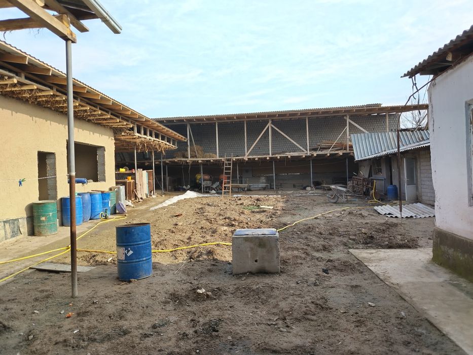 Uy dalahovli uchaska