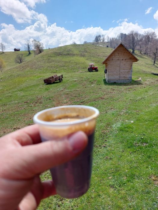 Vând teren in Arț