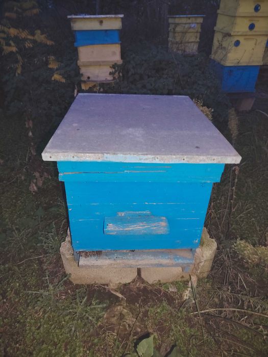 Кошери с по два магазина