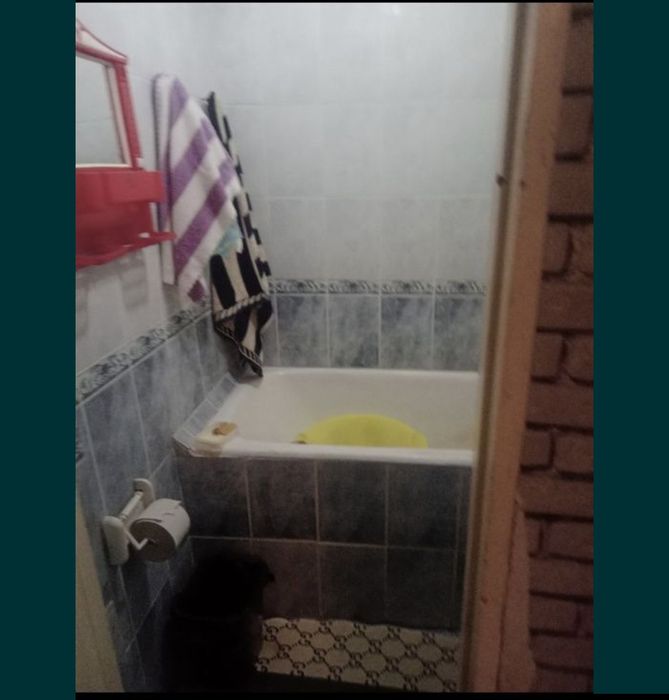 Сдаётся 1 ком  Ялангач Экобазар Чимган №Д97