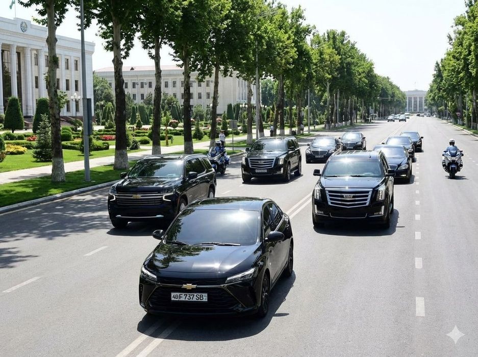 Roddomdan chaqaloqlar olib chiqish xizmati