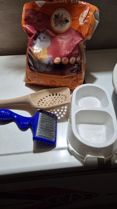 Зоотовар для милых котят