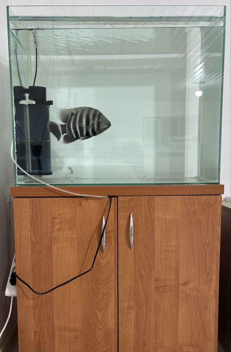 Аквариумы продам б/у