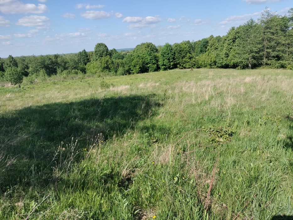 15000 euro 25 ari extravilan