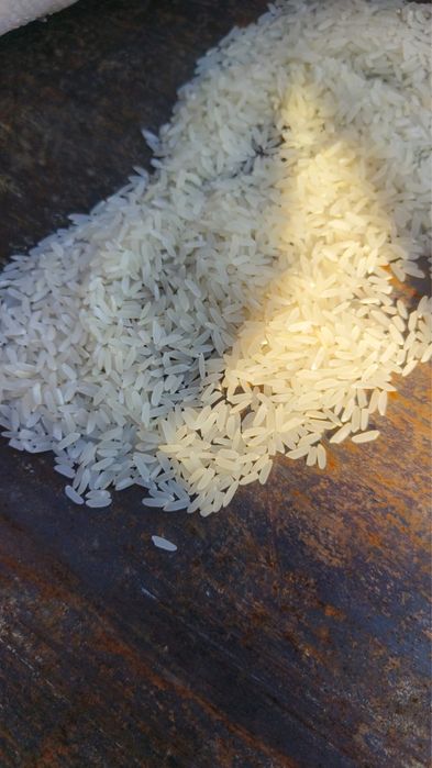 Лазер рис Шардара 650