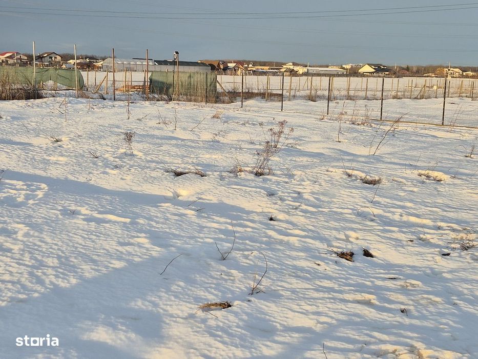 Vanzare teren Balotesti,apropiere padure, 18000 euro