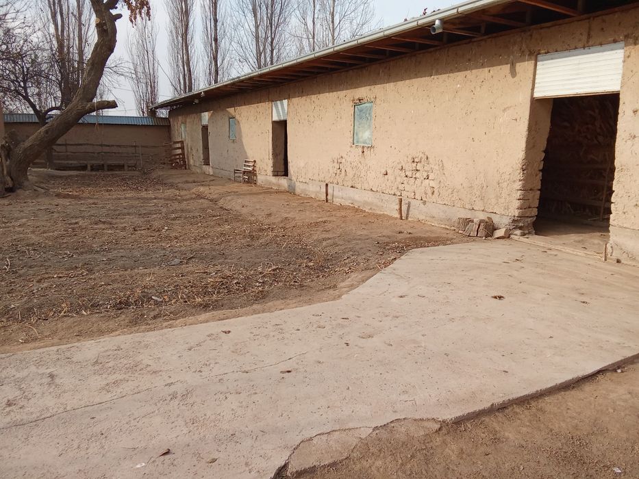 Xovli sotiladi. Yer narxida.