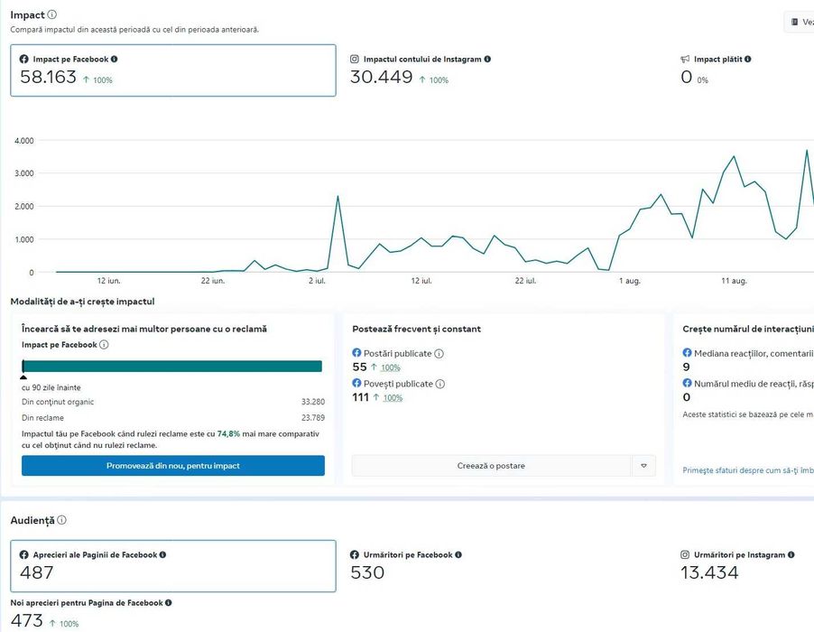 Servicii de marketing digital