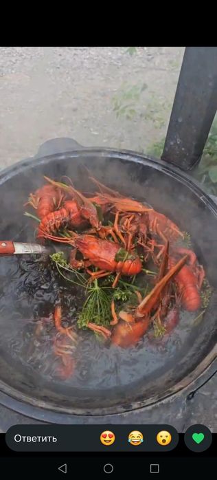 Продам рак живой размер разный