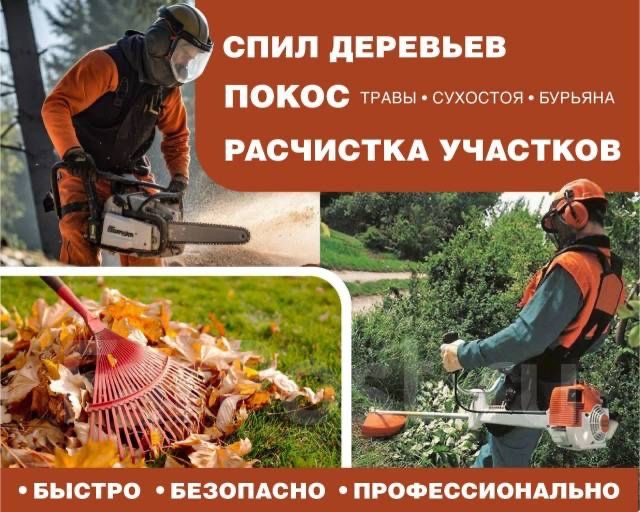 Уборка дачных участков от листвы, сухостоя.