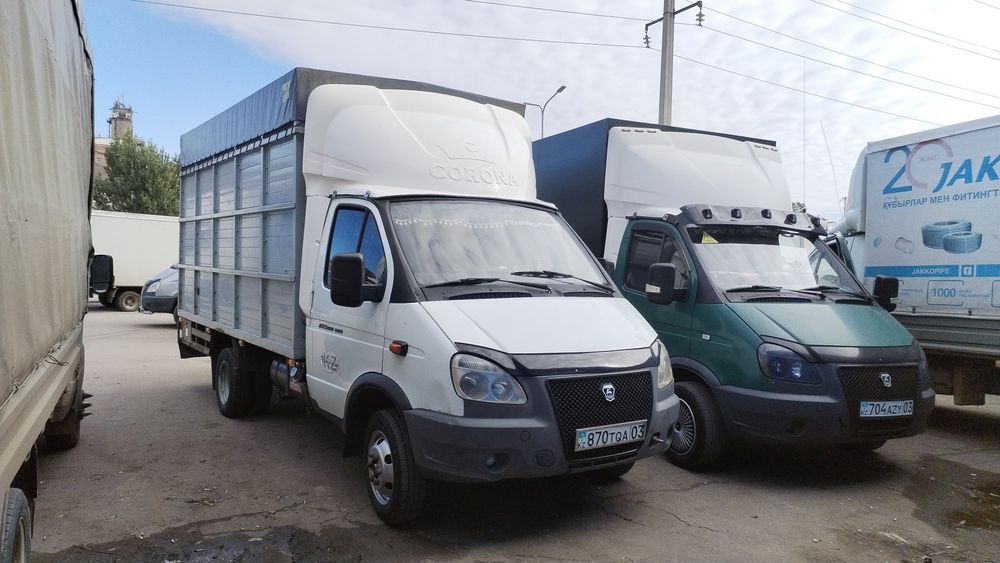 Вывоз мусора, Мусор