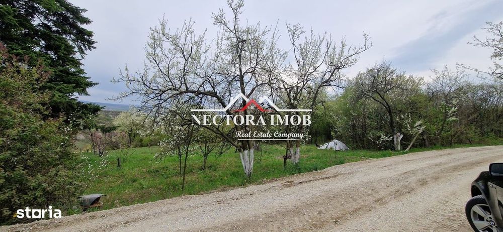 NECTORA IMOB-Teren Zona Podgoria,3400 mp (Intravilan + Extravilan)