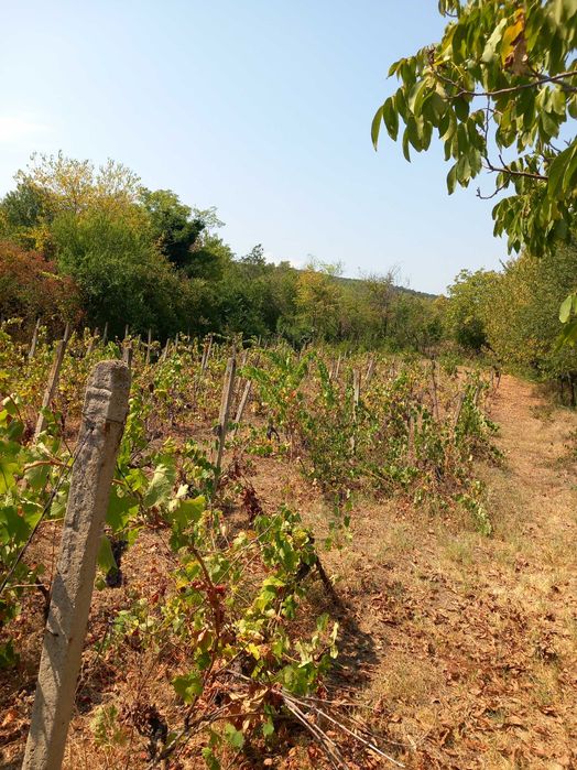 Продава се Къща в Ловеч, в.з. Бабаковец - 30 кв.м за 425 €/кв.м - Снимка #2