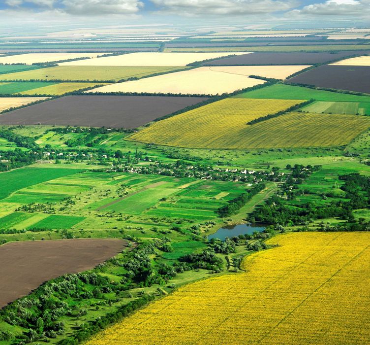 Продава се Земеделски имот в Разград, Васил Левски -  кв.м за 2040 €/дка - Снимка #4