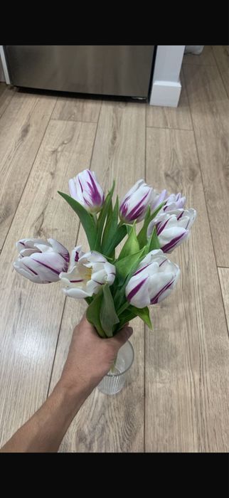 Продаются свежие тюльпаны