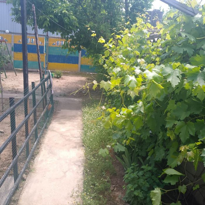 Продам дом срочно