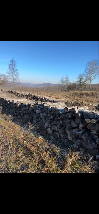 Vand lemne. … USCATE…. amestec de stejar, carpen, maracine, jugastrul.