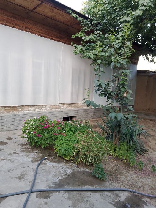 Xovli sotiladi 3 sotix 5 Xona