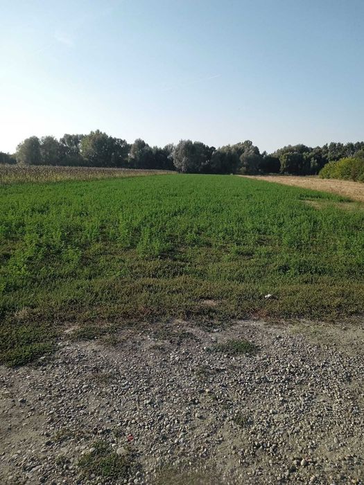 Teren,  sat Predesti, Prahova