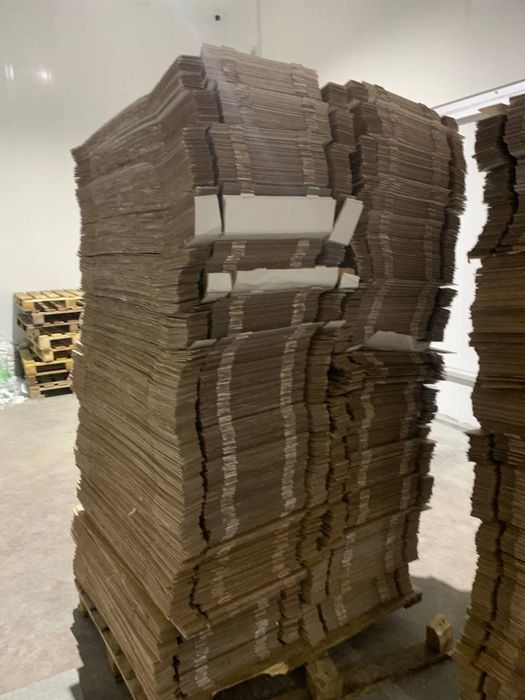 Makalatura Maklatura Makulatura Metallom temir oq qog’oz kitob jurnal