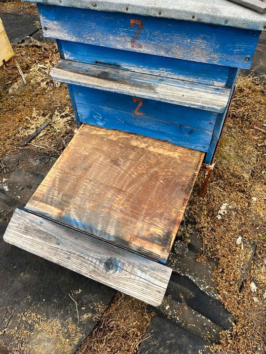 Кошери със магазини