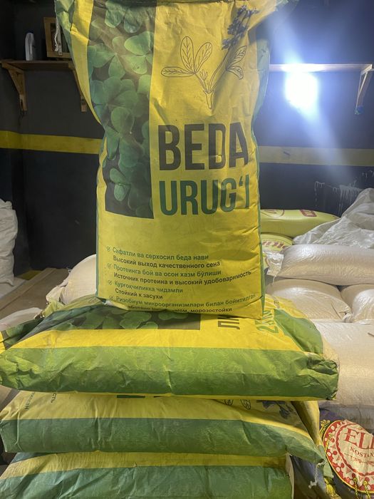 Beda urugʻi sifatli