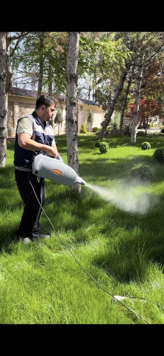 Dezinfeksiya дезинфекция 24/7 dizinfeksiya клапа таракан klapa tarakan