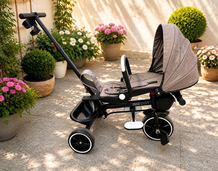Детска триколка Chipolino - Max Sport