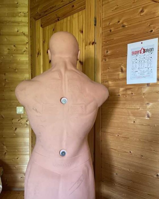 Водоналивной манекен Герман для бокса