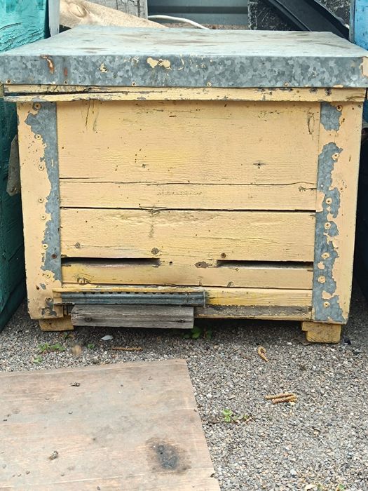 Продам Улья Хорошие