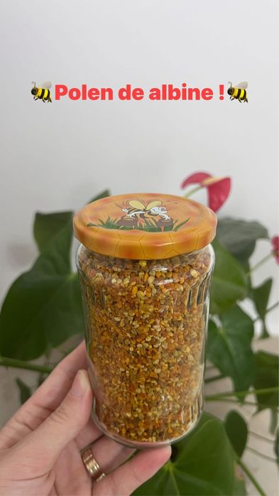 Miere si Polen de albine