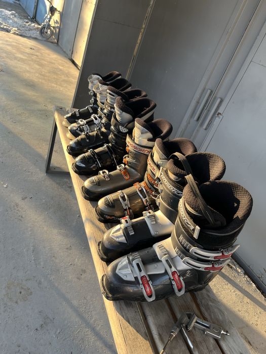 Schiuri / Schi / ski / Clapari  39 - 43 / 146 - 170 cm