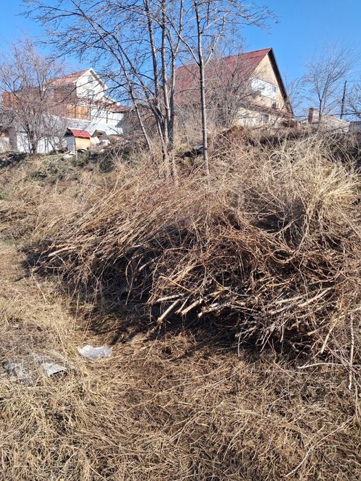 Ветки для тандыра