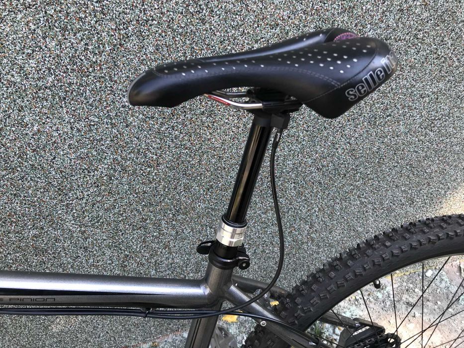 +MTB-XC29rMusing Twenty nine Pinion P1.18 29", 19"+