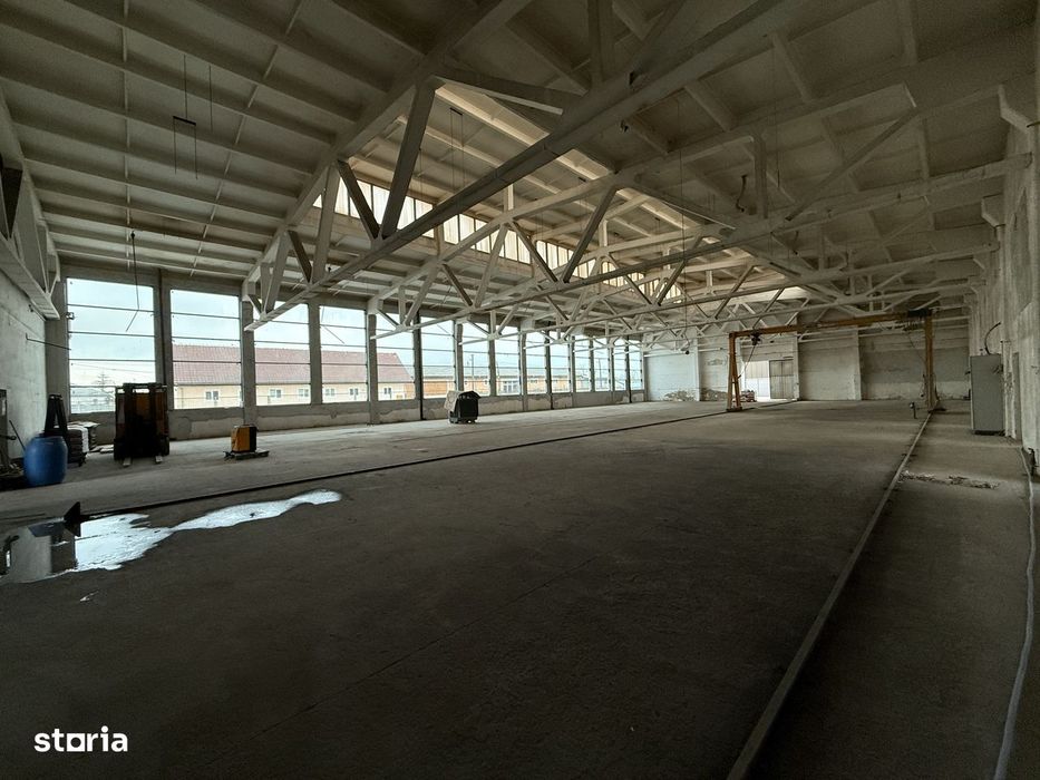 Centru comercial, spațiu comercial de închiriat în Carei, 50-1034mp