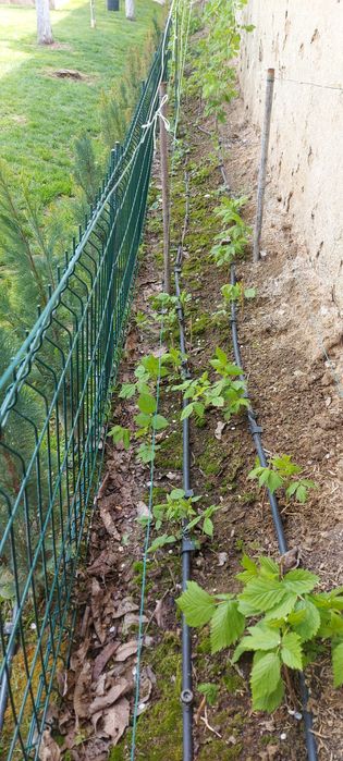 Изграждане на капково напояване и системи в парници градини и дворове