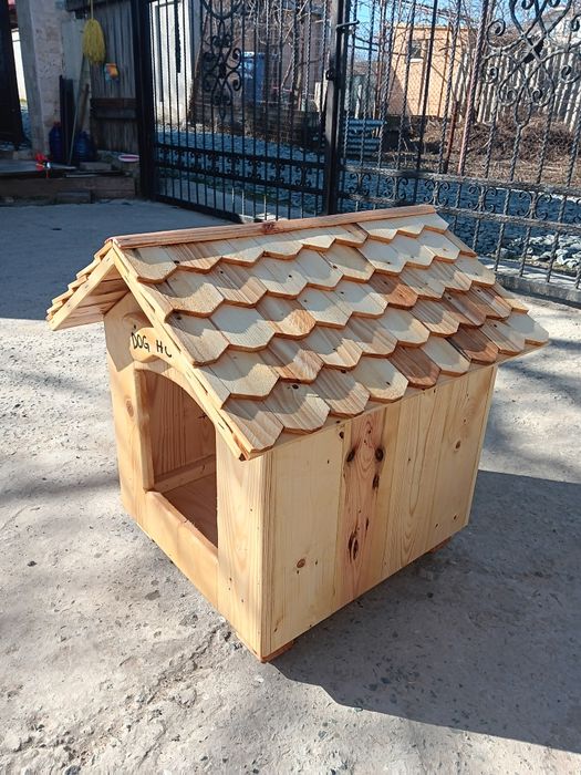 Cusca adăpost câine pisica bichon