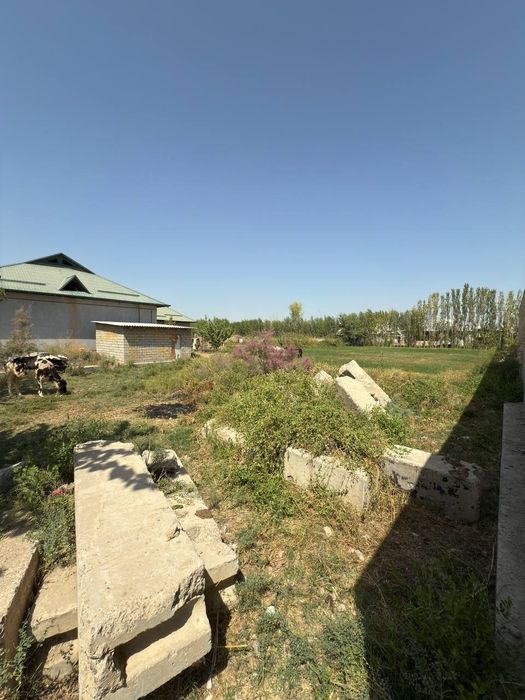 Mirzaobod arzon narxda yer