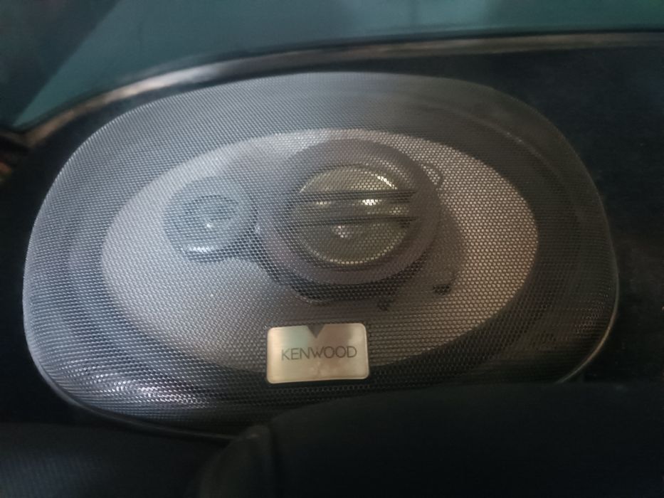 Kalonka oʻselitir boʻchka sotiladi arginal narsa